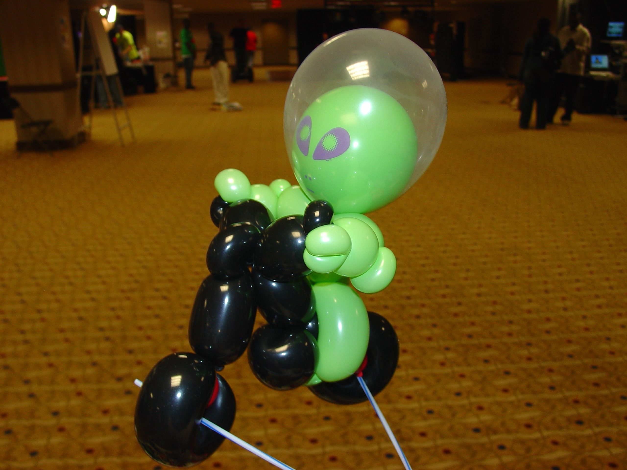 Lester Balloons (19)
