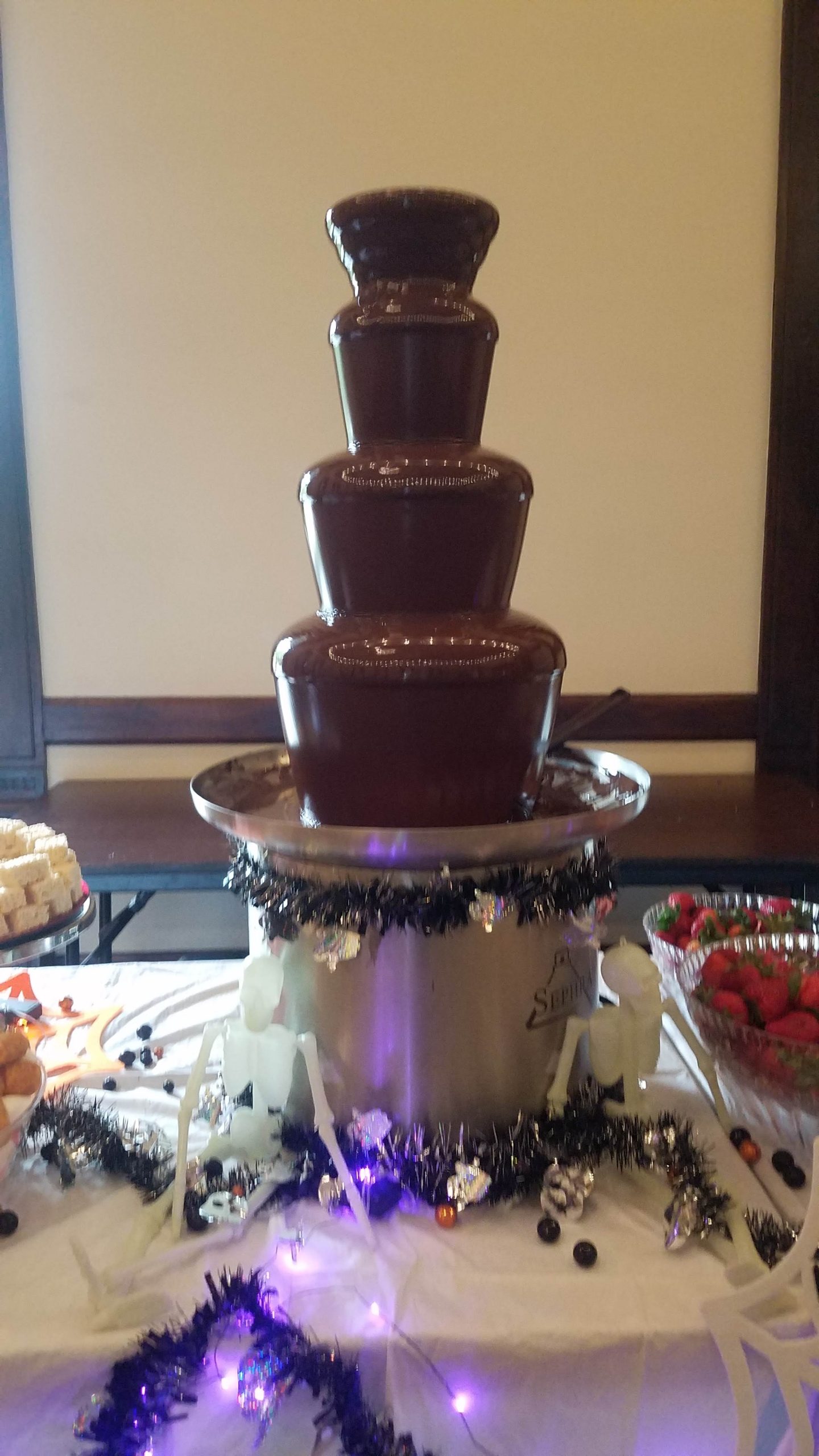 Chocolate Fountain (4)