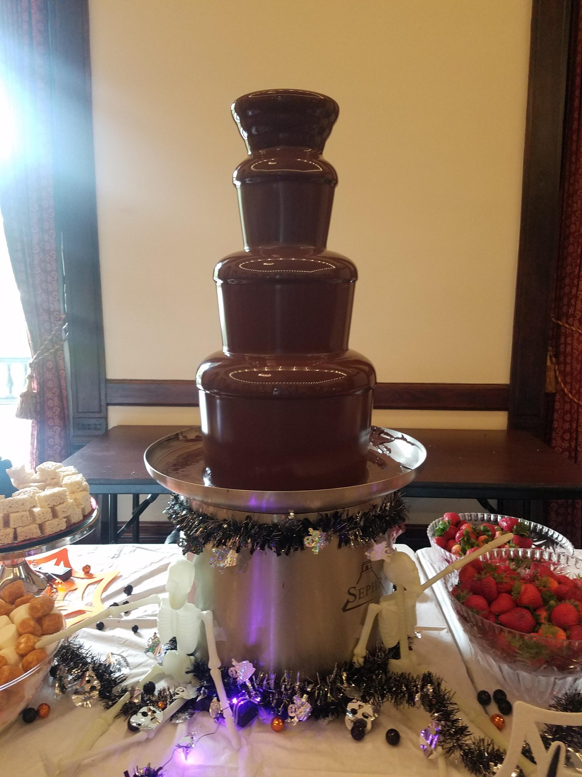 Chocolate Fountain (7)