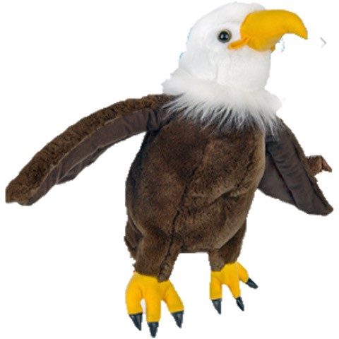 Critter – Eagle